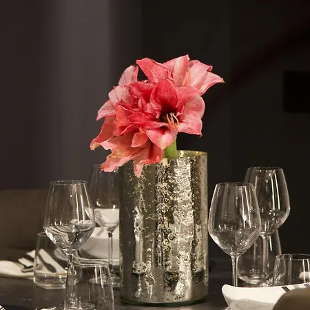 Azulis Terme 1 - Luxury Renovated In Center With Garden Lejlighed *